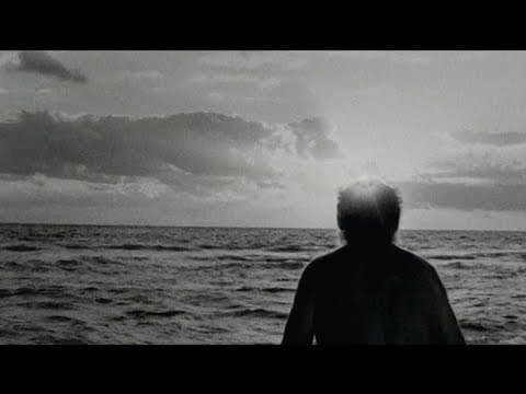 Iron & Wine - Lion's Mane