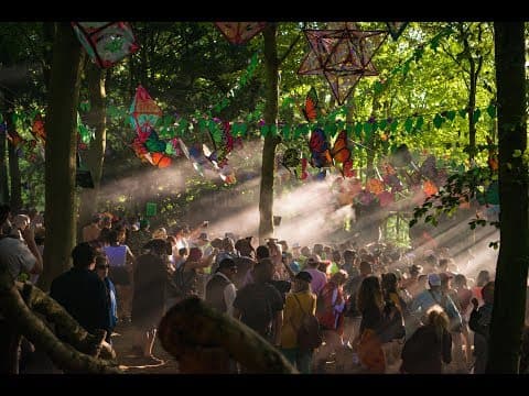 Boomtown - Psychedelic Gatherings