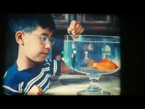 16mm Film - Histoire d'un poisson rouge - The Golden Fish - F 1959