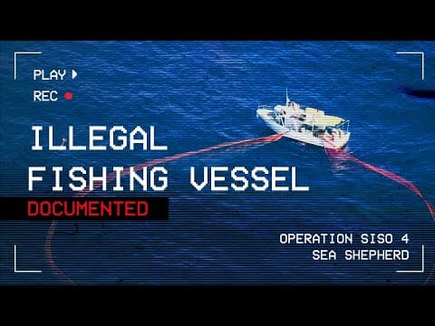 Illegal Fishing Documented in the Med!