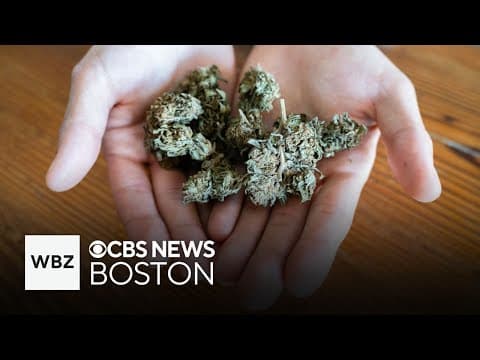 Heavy cannabis use in over-45s linked to dementia risk