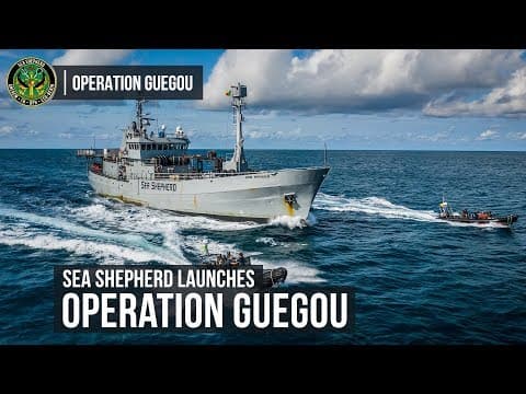 Sea Shepherd Launches Operation Guegou