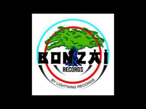 mix retro 100% bonzai