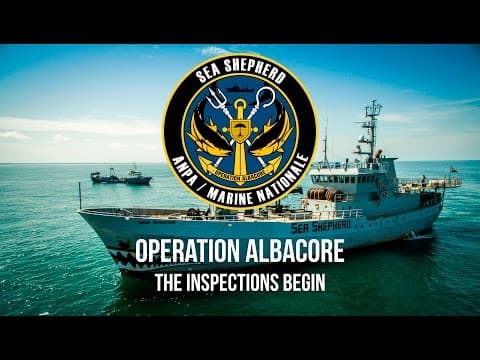 Operation Albacore: Exclusive Boarding Operations Footage Released