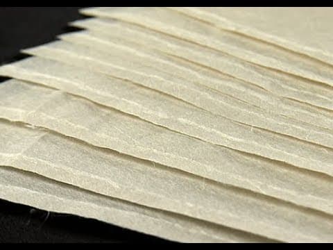 Sekishu Washi Papermaker Haruka Kikuchi