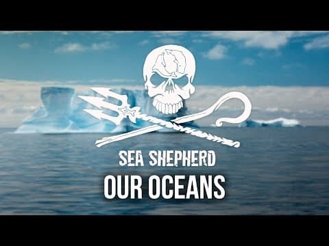Part-Time Heroes Excerpt - Our Oceans