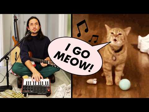 Cala the Singing Cat Gets Her Own Song