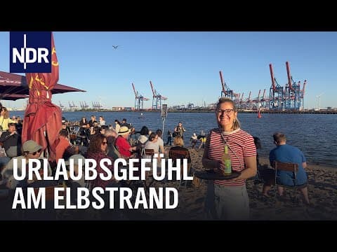Hamburg’s Kultlokale - the venue scene