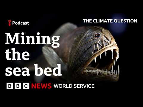 Should we mine the deep ocean?