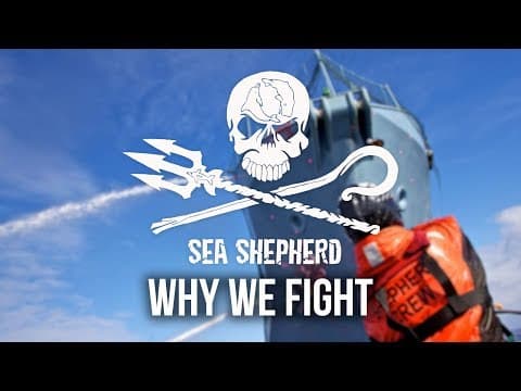 Part-Time Heroes Excerpt - Why We Fight