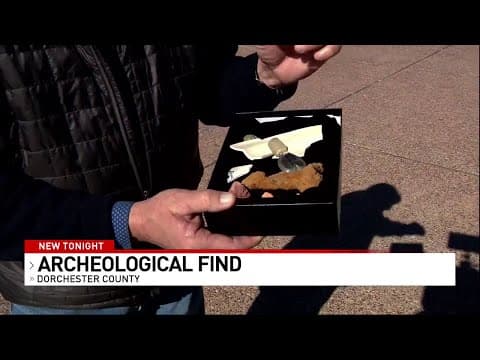 Artefacts found at Harriet Tubman's birthplace