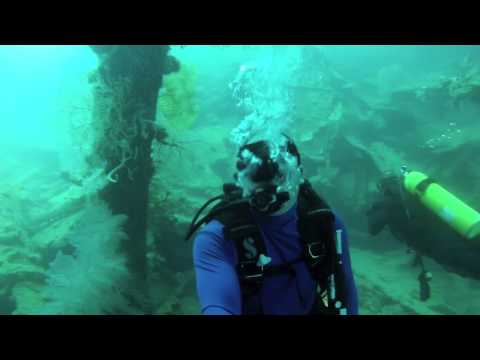Bonegi Wrecks