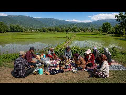The Other Side of Iran: Life in the Lush Countryside of Gilan