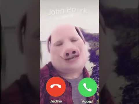 John Pork is calling - day 101