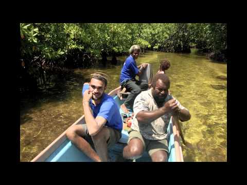 Research & the environment around Solomon Islands.m4v