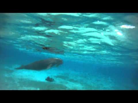Solomons Tetepare Island