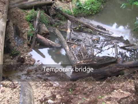 Logging in Vavanga, 2004. Kolombangara Island