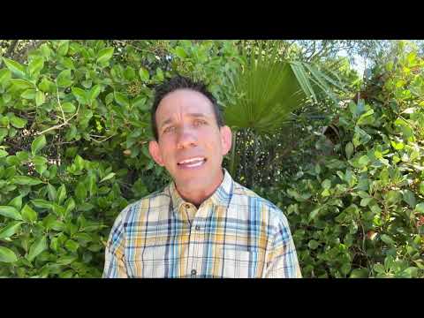 WHAT IS A CORTISOL COCKTAIL?