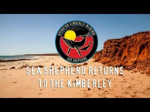 Sea Shepherd returns to the Kimberley