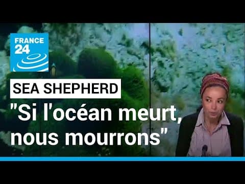 Journée mondiale de l'océan: "Si l'océan meurt, nous mourrons tous" • FRANCE 24