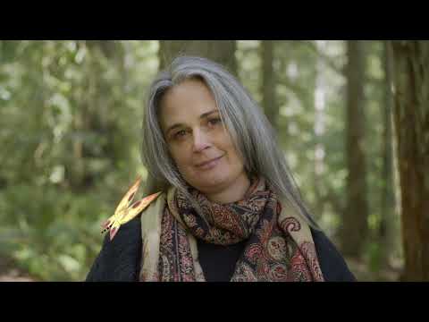 Julia’s reflections - "Where have all the humans gone?"