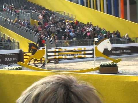Patrice Delaveau, Saut Hermès Grand Palais 2014