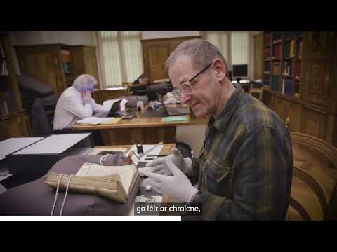 The Irish manuscripts at St Gallen
