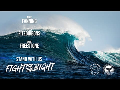 Stand With Us #FightForTheBight