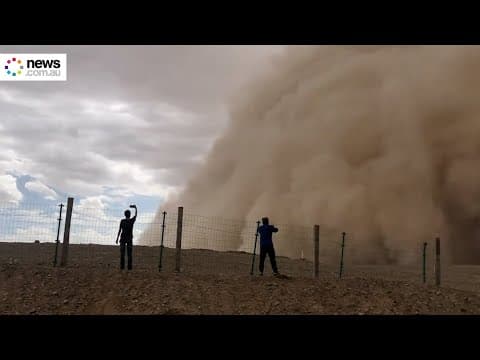 The 1993 Black Storm of the Gobi