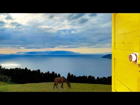 【4K Stroll】Cape Toi - Miyazaki - Japan / Misaki Horses Living Freely on the Green Hills