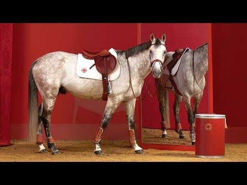 Hermès: Un service sellier sur-mesure