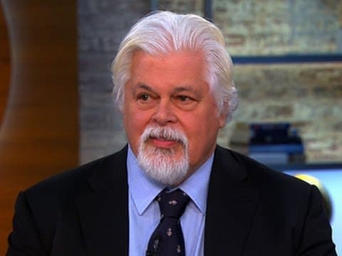 Captain Paul Watson on aggressive moves to end whaling