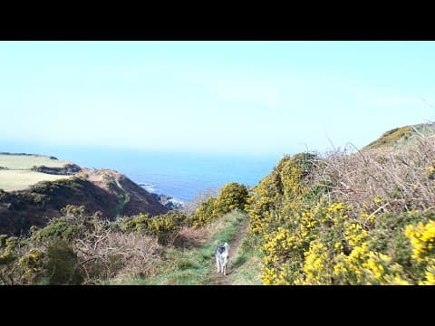 Cliff path at Glen Maye, Isle Of Man, Ray Kelly