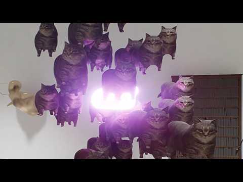 Twisted Gallery (PC) - OIIA Cat Easter Egg