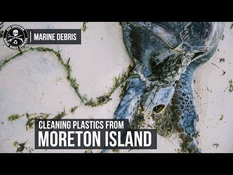 Cleaning plastics from Moreton Island