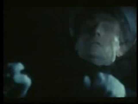 Julien Clerc - La fille aux bas nylon (clip officiel)