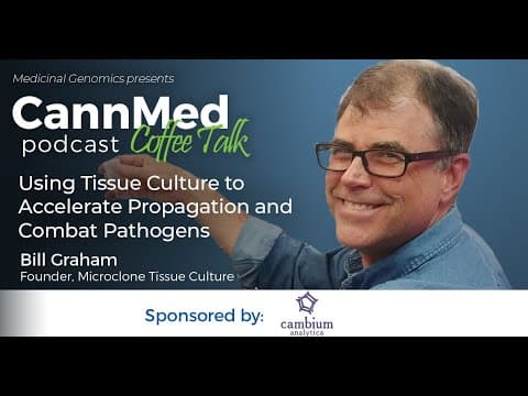 Tissue culture to accelerate propagation and combat pathogens
