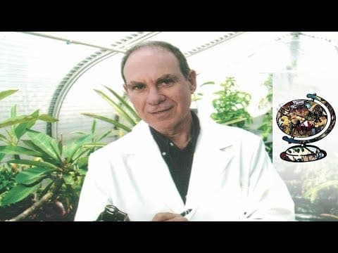 Legalising Medical Marijuana (2003)