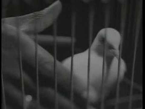 Lyle Lovett: Church