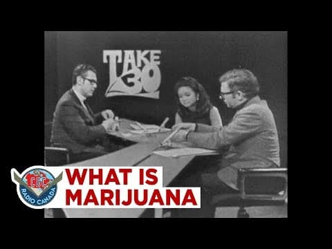 What Is Marijuana? A 1970 Explainer