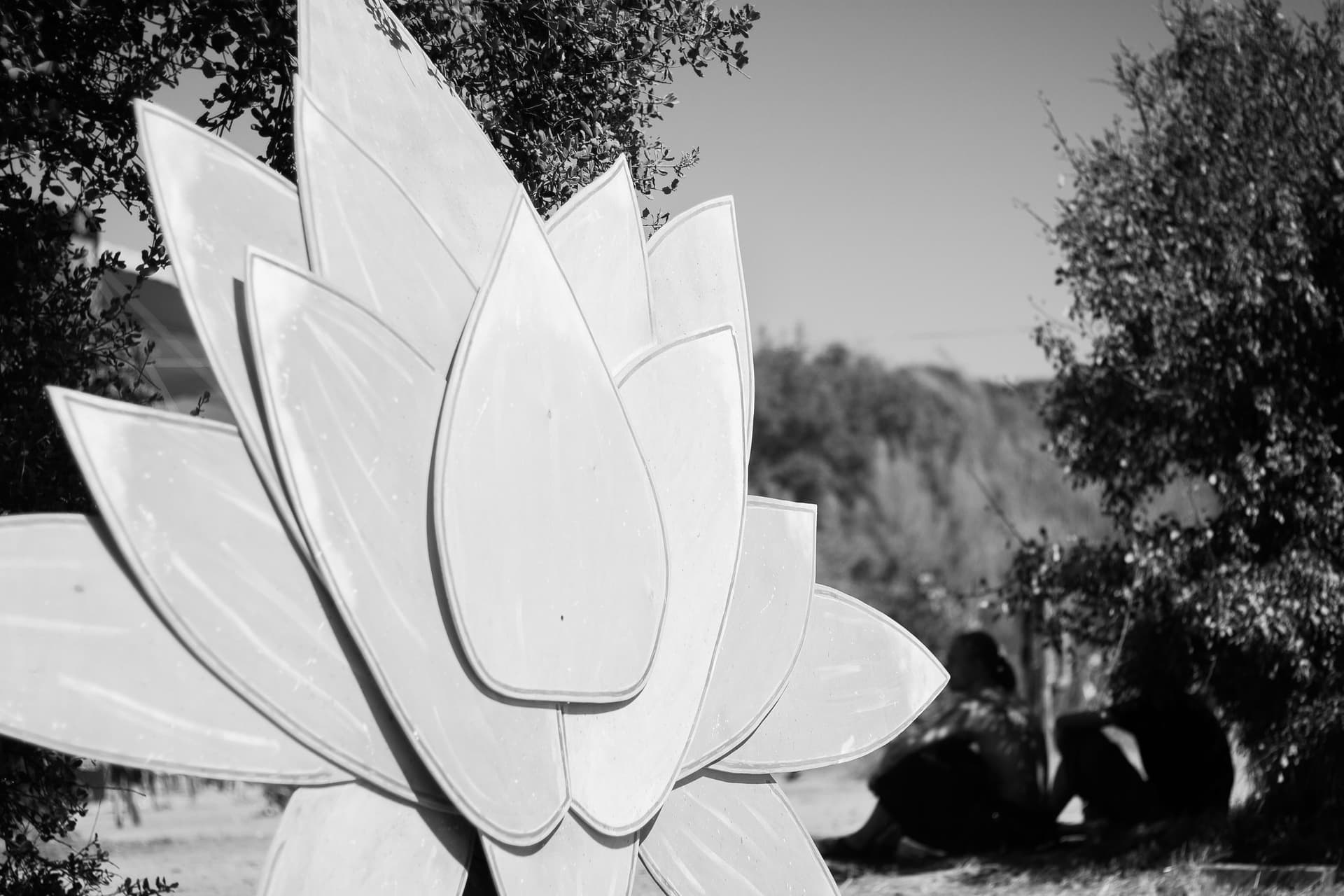Fleur de juillet, Boom 2018