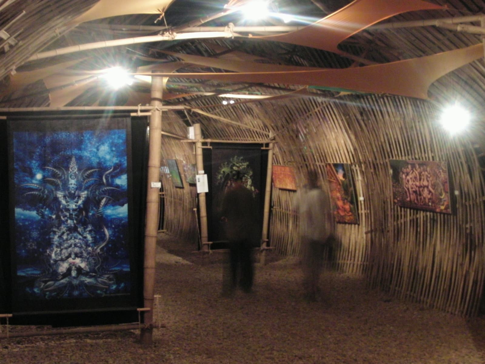 Visionary art gallery, Boom 2010