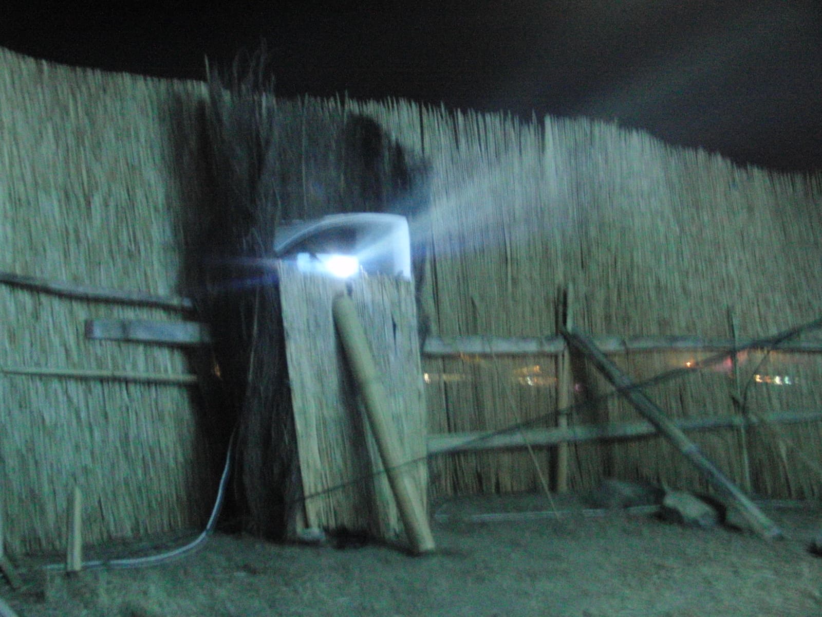 Projector beam against a reed wall at night, Boom 2010