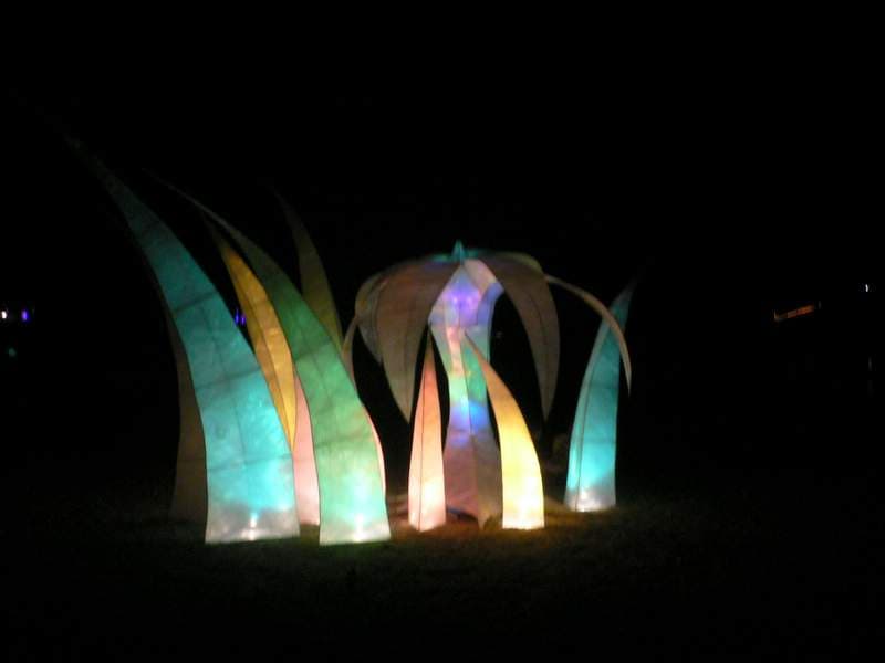 Cosmic walkers plants, Boom 2006