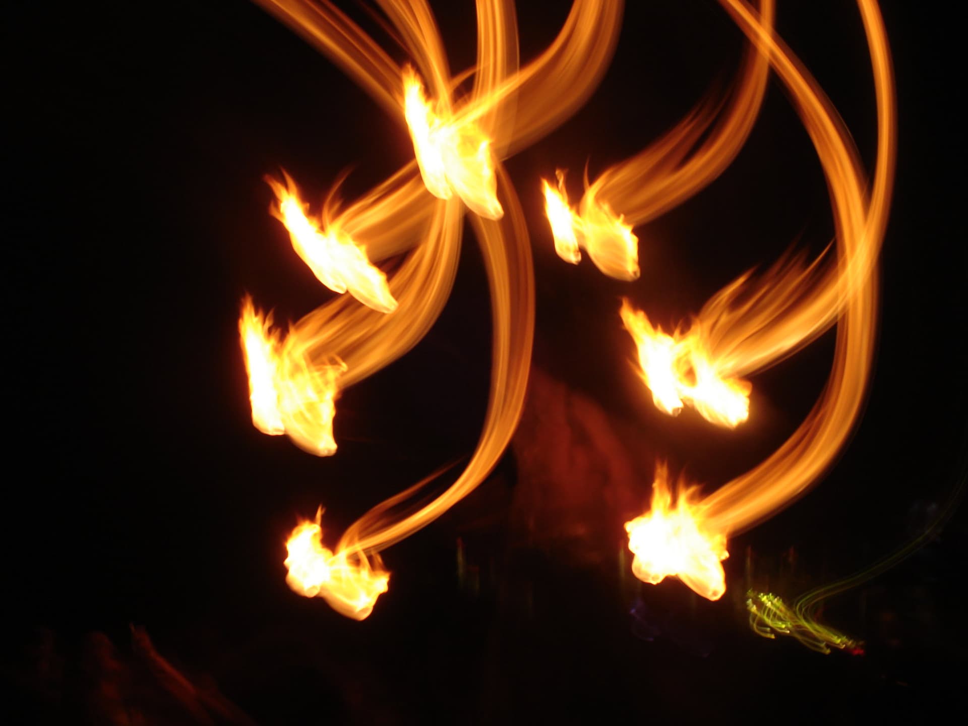 Fire wings on Stilts, Boom 2012