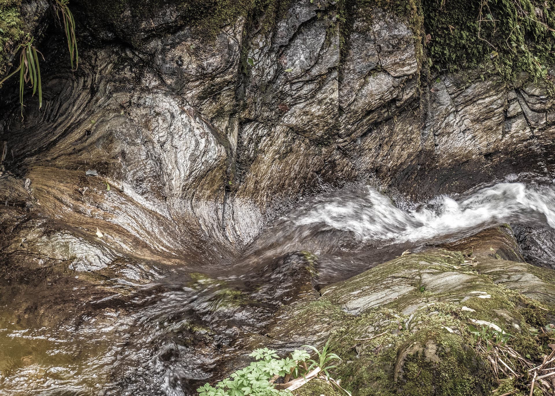 In Dhoon Glen 1