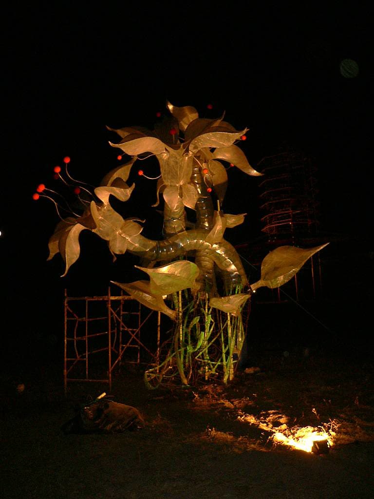 Cosmic walkers deco flower, Boom 2006