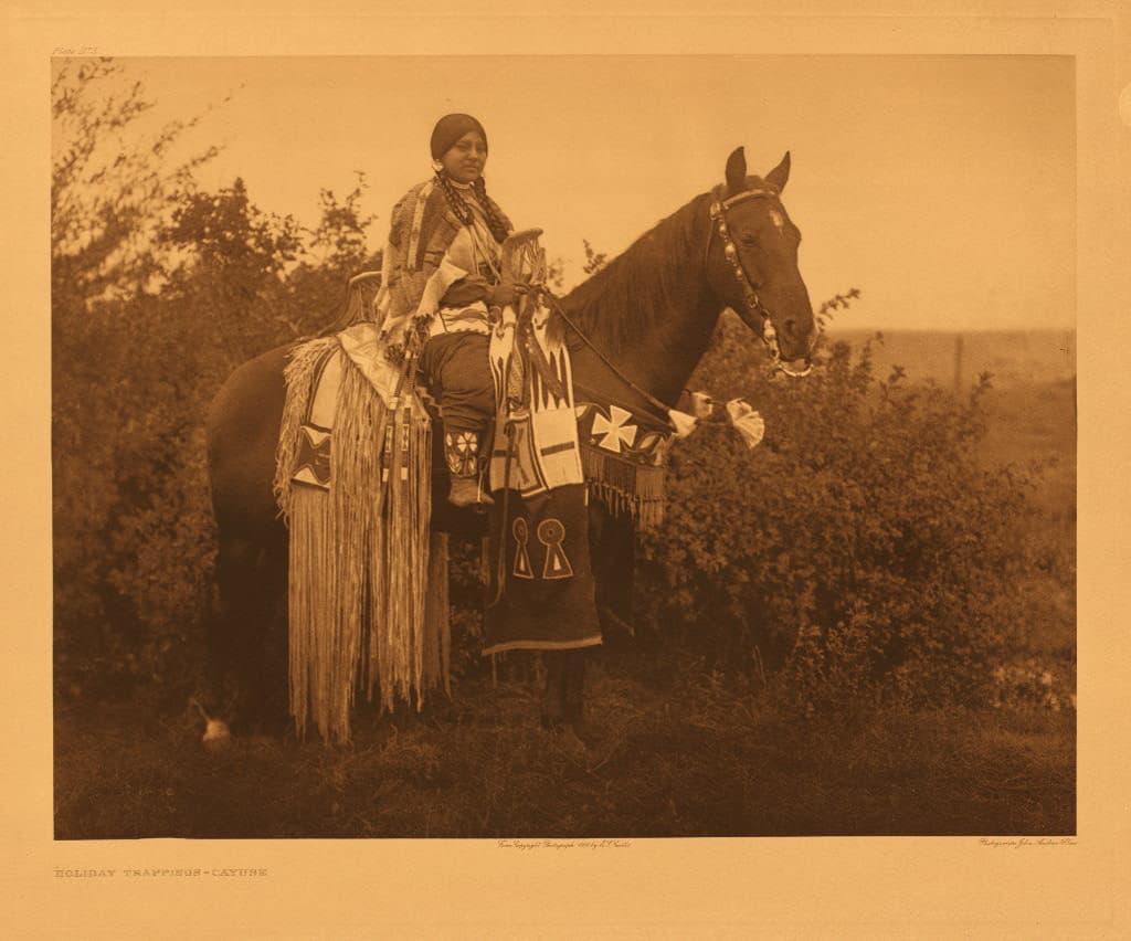 A young lady With her horse