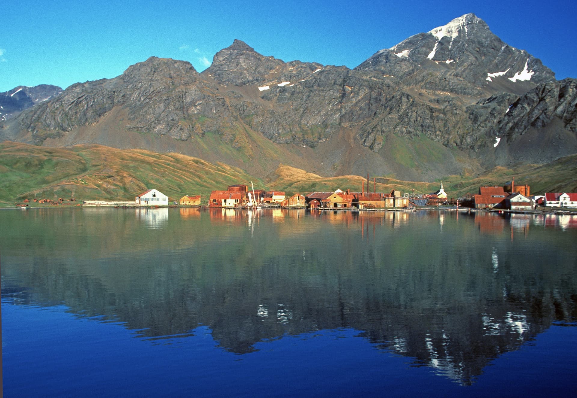 Grytviken, an active whaling station from 1904 to 1966