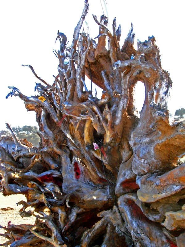 Sculpture built from driftwood and roots